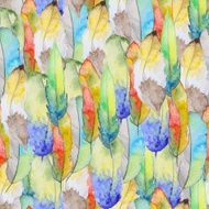 Watercolor pattern with feathers N5