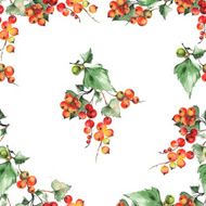 Red currant pattern