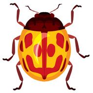 Beetle N4