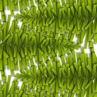 Christmas fir branches pattern N2