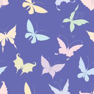 pattern of the butterflies