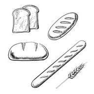 Toasts long loaves baguette and wheat ear