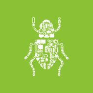 beetle icon