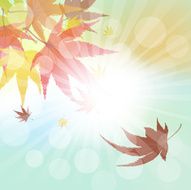 Autumn Frame N17
