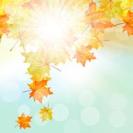 Autumn Frame N18