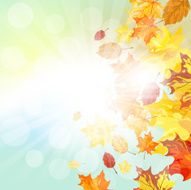 Autumn Frame N21