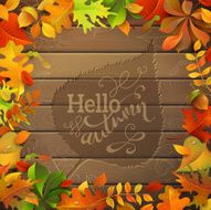 Hello autumn! N5