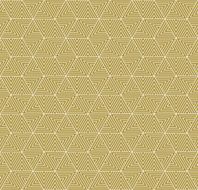 dense vector pattern of triangles