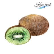 Kiwi N2
