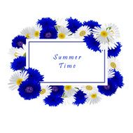 Vector white background with chamomile and cornflowers