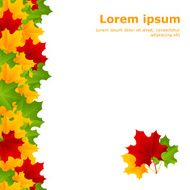 maple template N2