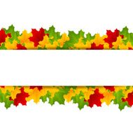 maple template N4