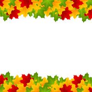 maple template N5