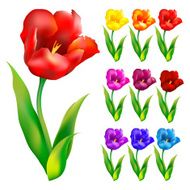 Colorful flower background Vector illustration