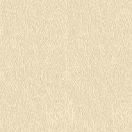 Wooden texture Seamless vector pattern