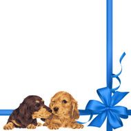 dog and ribbon illustration N36