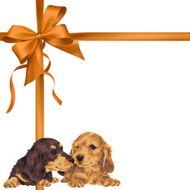 dog and ribbon illustration N37