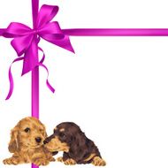 dog and ribbon illustration N38