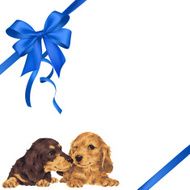 dog and ribbon illustration N40