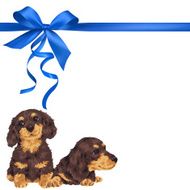 dog and ribbon illustration N43