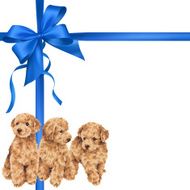 dog and ribbon illustration N47