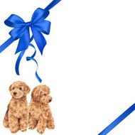 dog and ribbon illustration N49