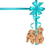 dog and ribbon illustration N50