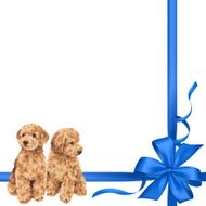 dog and ribbon illustration N53