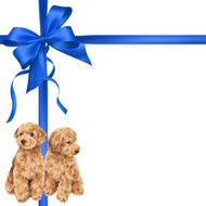 dog and ribbon illustration N54