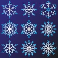 Set of snowflakes vector N2