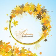 Maple autumn background vector