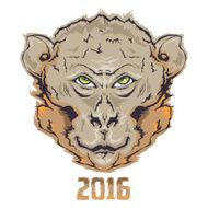 2016 Monkey N2