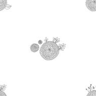 Seamless texture with asters N32