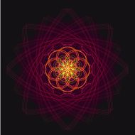 luxurious geometric purple lotus flower on a dark background