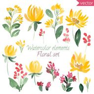 set of watercolor flowers and leaf N4