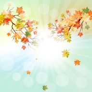 Autumn Frame N26