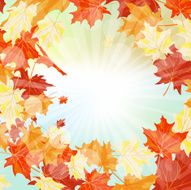 Autumn Frame N29