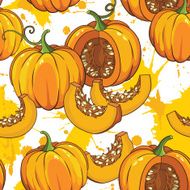 Vector botanical pattern with isolated pumpkins flowers and leaves
