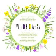 Wildflowers round floral border isolated on white Vector illustration eps10