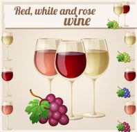 Red white and rose wine in glasses Detailed Vector Icon