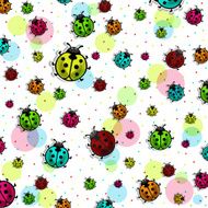 Beautiful colorful ladybugs on white background