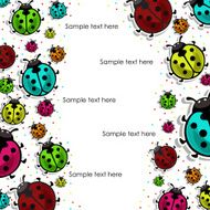 Beautiful colorful ladybugs on white background N2