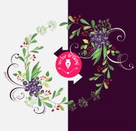 watercolor design elements