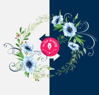 watercolor design elements N2