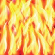 Vector fire background
