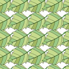 Seamless pattern green leaf on white background
