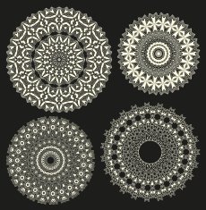 Floral Ornament Pattern N15