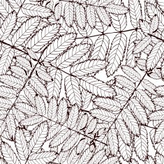 rowan leaf N3