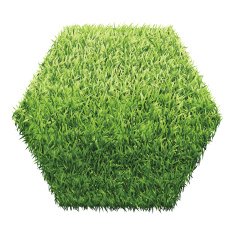 Hexagon of green grass
