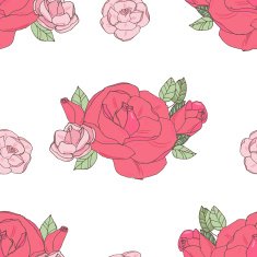 Pink rose on the white background N6